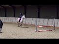 Show jumping horse Springpaard van Cohinoor met potentie