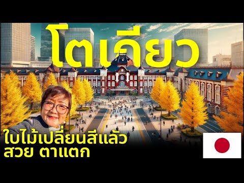 อัพเดทสถานีโตเกียวพาชมใบไม้เป