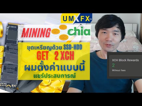 ขุดเหรียญ-Chia-ได้แล้วครับ!!-ผ ขุดเหรียญ-Chia-ได้แล้วครับ!!-ผ