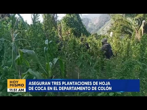 Fuerzas Armadas de Honduras Intensifican Lucha Antinarcóticos