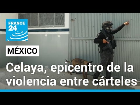 Carteles de droga libran brutal guerra territorial en Celaya, la ciudad más peligrosa de México