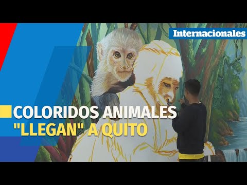 Coloridos animales llegan a Quito para defender la vida silvestre