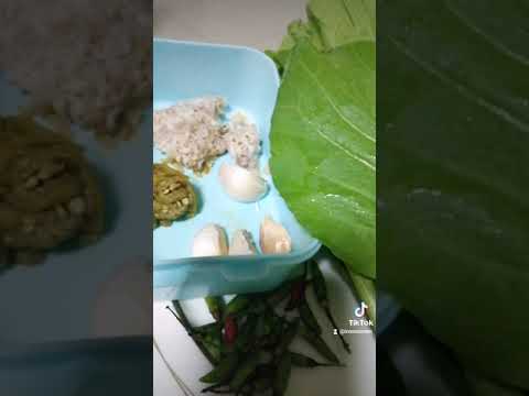 แหนมหมู แหนมหมู