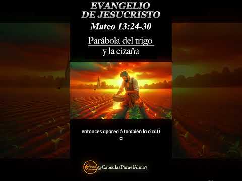 EVANGELIO DE HOY  Sa?bado 27 de Julio 2024 ? Reflexio?n, Mensaje y Bendicio?n del Di?a