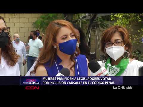 Mujeres del PRM piden a legisladores votar por inclusión de tres causales en Código Penal