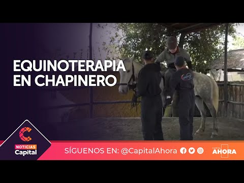 Personas con discapacidad de Chapinero fueron beneficiadas con equinoterapia