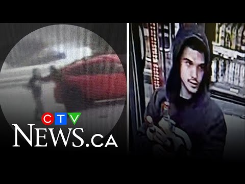 Image of suspect released who allegedly assaulted N.B. storeowner with bottle