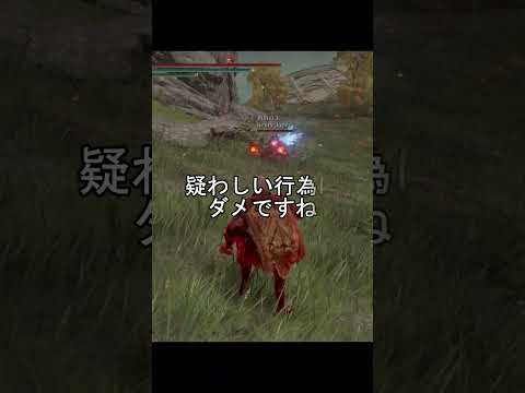 エルデンリング 地獄の侵入 道場詐欺撲滅の為パトロールした！  ELDEN RINGDLC #elden #eldenringdlc #ダクソ3