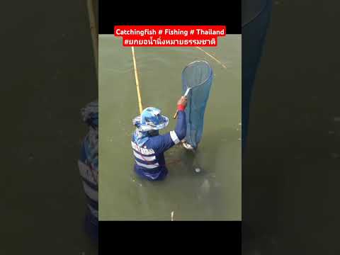 CatchingfishFishingThaiwa