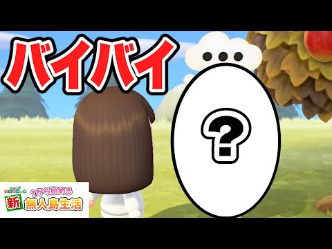 【あつ森】島から1年ぶりに卒業者が出ました #81【あつまれどうぶつの森】