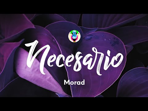 Morad - Necesario (Letra/Lyrics)