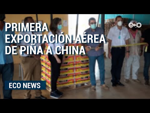Primera exportación aérea de piña a China | ECO news