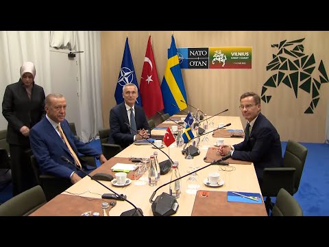 Erdogan se reúne con Stoltenberg y Kristersson en Vilna