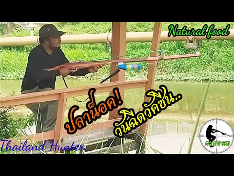 #SHOOT-FISH-ยิงปลาน็อคน้ำ-ก่อน #SHOOT-FISH-ยิงปลาน็อคน้ำ-ก่อน
