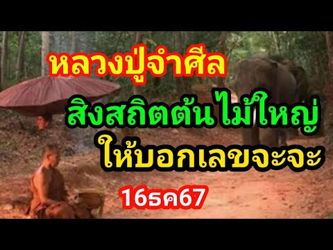 หลวงปู่คนโบราณสิงสถิตต้นไม้ใหญ