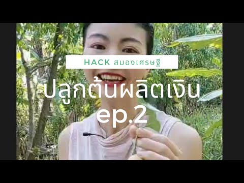 ปลูกต้นไม้ผลิตเงิน-EP.2 ปลูกต้นไม้ผลิตเงิน-EP.2