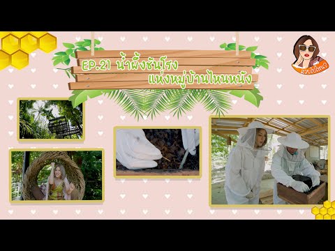 สวยไปไหน-EP.21-ผลิตภัณฑ์แปรรูป สวยไปไหน-EP.21-ผลิตภัณฑ์แปรรูป
