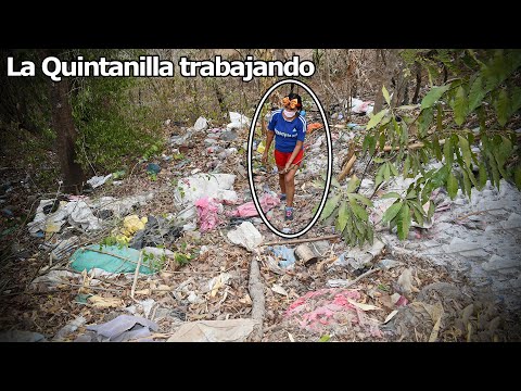 Vean la Quintanilla trabajando en el tremendo basural donde viven – Ediciones Mendoza