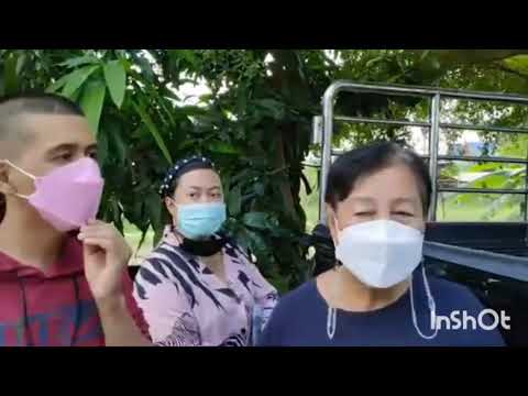 ข้อเอ๋อก็มา-ย่าและอาก็มา-วันดี ข้อเอ๋อก็มา-ย่าและอาก็มา-วันดี