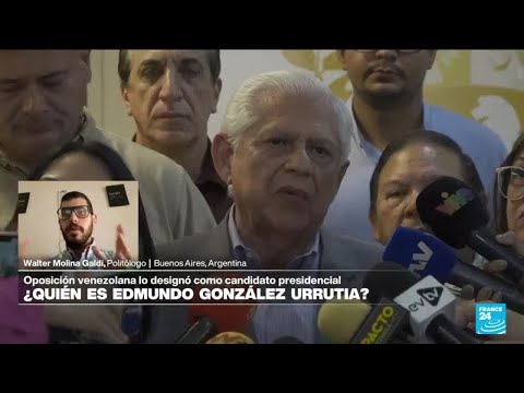 Walter Molina Galdi: En Venezuela no está ocurriendo un proceso electoral democrático • FRANCE 24