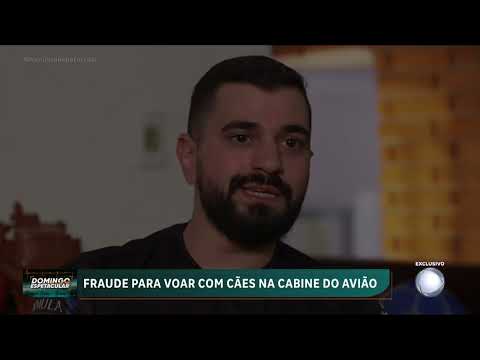 Confira detalhes de fraude que burla regras do transporte de animais em viagens aéreas