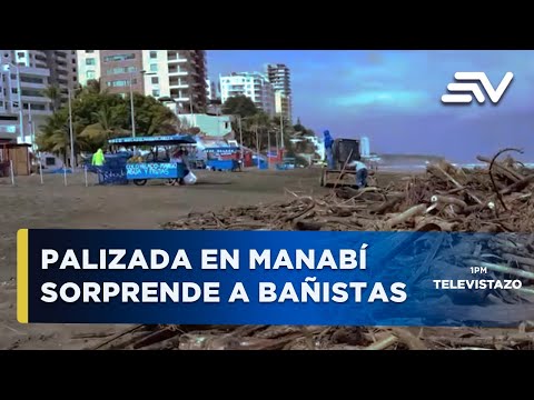 Una palizada en Manabí y Puerto Engabao sorprendió a los bañistas | Televistazo | Ecuavisa