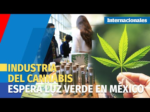 Aumenta el interés para desarrollar la industria cannábica en México