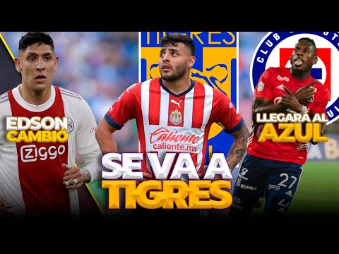 TIGRES VA POR ALEXIS VEGA | AMÉRICA TIENE NUEVO TÉCNICO | EDSON Y BORUSSIA SE ALEJAN | NOTICIAS HOY