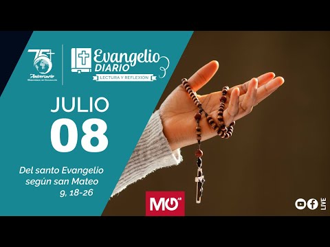 Lectura y reflexión | 8 de julio 2024 | Del santo Evangelio según san Mateo: 9, 18-26.