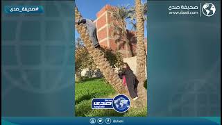 المصرية طلعت عصبية على زوجها