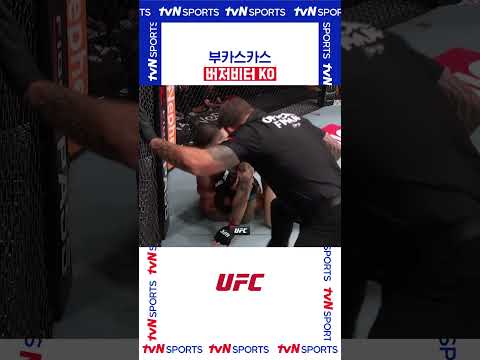 버저비터 KO #UFC