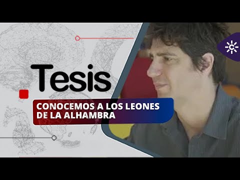 Tesis | Fútbol en silla motorizada