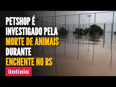 POLÍCIA CIVIL INVESTIGA MORTE DE ANIMAIS APÓS ALAGAMENTO EM PETSHOP DE PORTO ALEGRE!