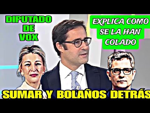 DIPUTADO DE VOX EXPLICA EN QUE MOMENTO LE HAN COLADO LA TRAMPA Y COMO NO HAN ESTADO ATENTO