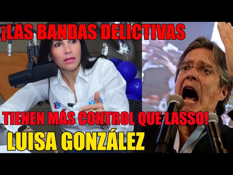 Las bandas delictivas tienen más control que Lasso: Luisa Gonzalez