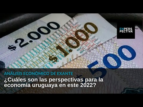¿Cuáles son las perspectivas para la economía uruguaya en este 2022 Análisis Económico de Exante