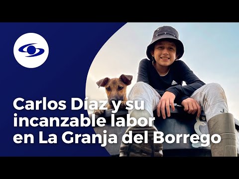 Así es como Carlos Díaz vive en armonía con los animales- Caracol TV