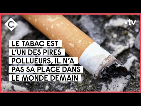 La catastrophe écologique du tabac - C à vous - 31/05/2022