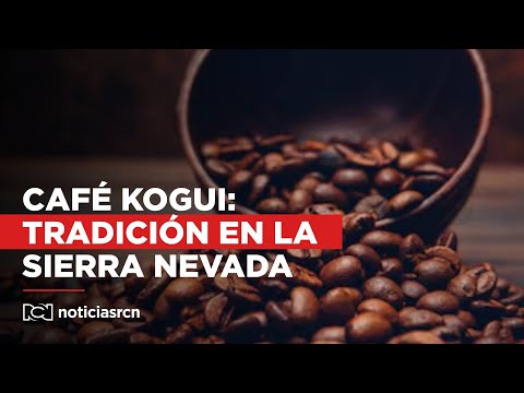 Café Kogui: tradición ancestral y sostenibilidad en la Sierra Nevada de Santa Marta