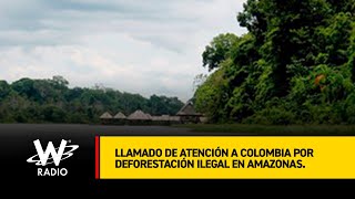 Thomas E. Lovejoy hace un llamado de atención a Colombia por deforestación en el Amazonas