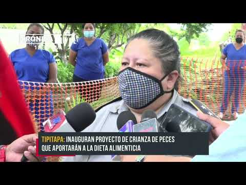 Crianza de peces, nuevo trabajo productivo de presos en Tipitapa - Nicaragua