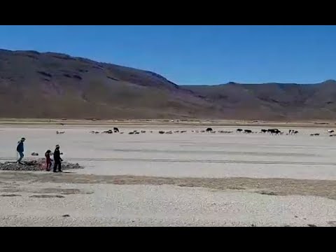 ¿La sequía un problema Más de 18 mil familias afectadas en 23 municipios de Oruro