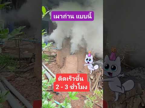 วิชัย สไตล์บ้านทุ่ง วิธีเผาถ่านให้ติดเร็วขึ้น