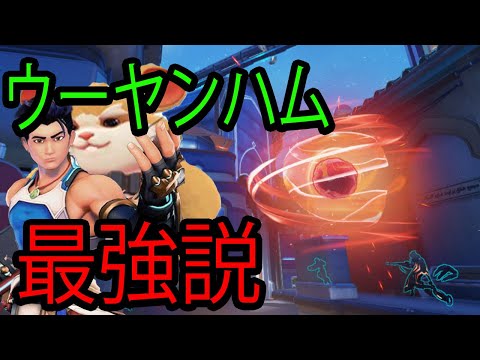 ウーヤンとハム合わせたらガチで最強すぎたｗｗｗｗｗｗｗ【レッキングボール】【オーバーウォッチ2】