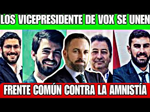 LOS VICEPRESIDENTES DE VOX SE REUNEN PARA PLANTAR CARA A LE LEY DE AMNISTÍA