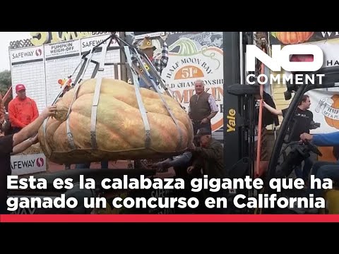 NO COMMENT: Esta es la calabaza gigante que ha ganado un concurso en California