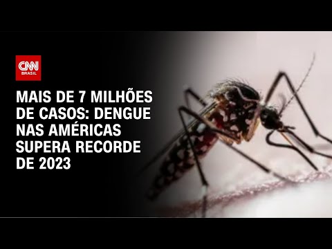 Mais de 7 milhões de casos: Dengue nas Américas supera recorde de 2023