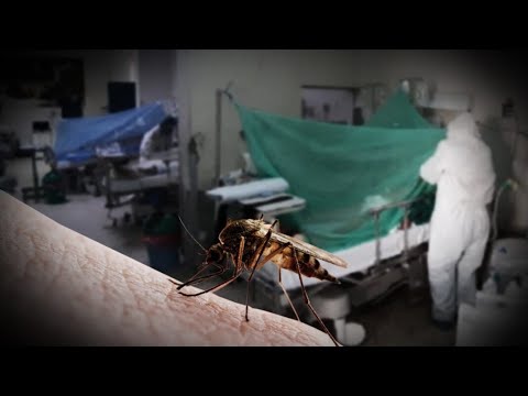 ¡Alerta! Contagios por dengue superan los 119 mil casos