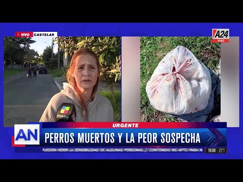 Horror en Castelar: denuncian MATANZA de PERROS desollados y eviscerados
