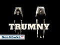 Neo-Nwka - ''TRUMNY''